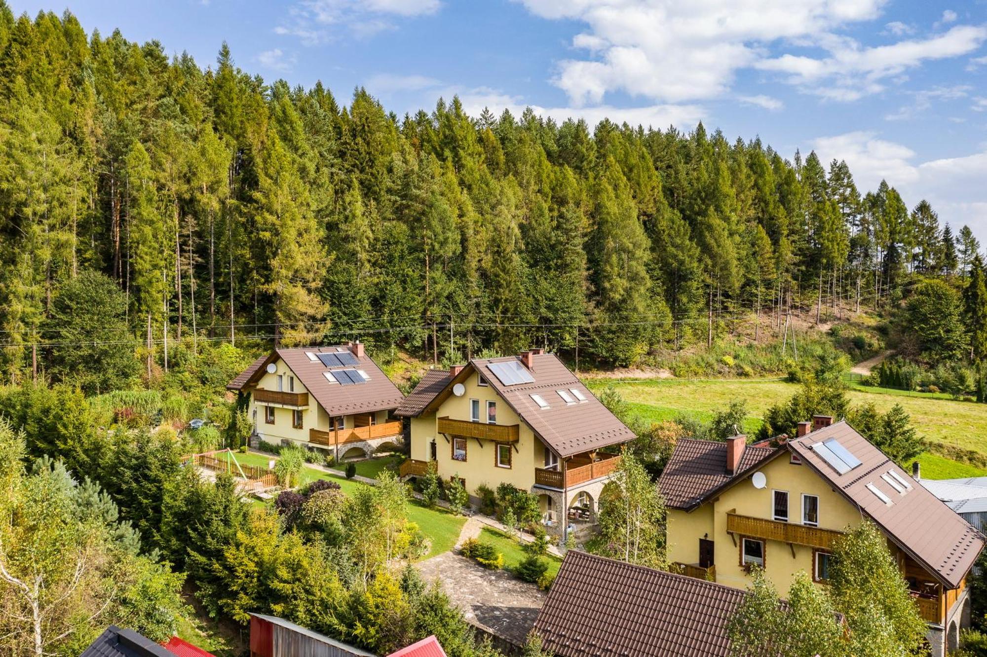 Apartamenty Zielona Owieczka قلعة نيدزيكا المظهر الخارجي الصورة